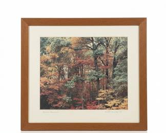 Howard W. Blakeslee "Autumn at the National Arboretum" Print
