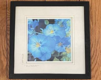 Framed Print "Blue Beauty" by D. Atwood, featuring Pansies