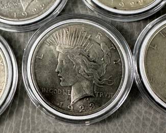 Detail on some of the fifteen US Peace Silver Dollars, mixed dates