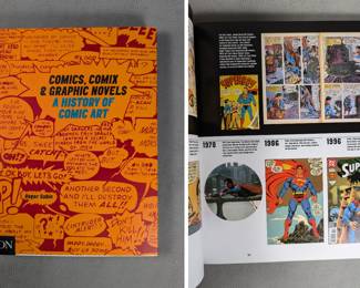 Comics, Comix & Graphic Novels A History of Comic Art, hardcover, published 1996 by Phaidon Press