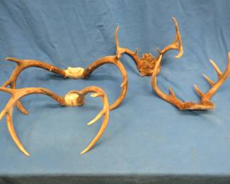 Lot 401. Four sets of whitetail antlers