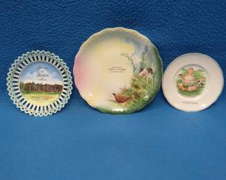 Lot 229. Souvenir plates from 3 different Minnesota cities. Rochester, St. Joseph, and Wheaton. All in very good condition.