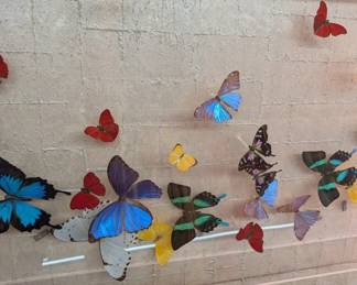 Purrington Original Acrylic Butterfly Art