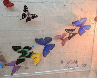 Purrington Original Acrylic Butterfly Art