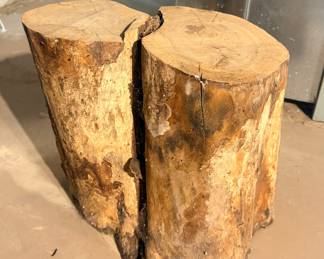 18”x18” Tree Stump - endless possibilities!