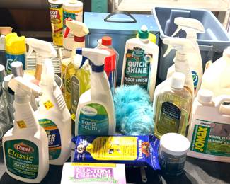 All kinds of cleaning supplies, pest control