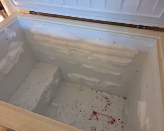 #82	Floor freezer white Westinghouse (works) 	 $150.00 
