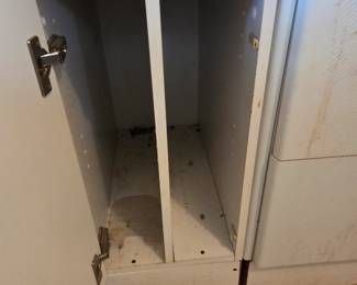 #95	Plastic cabinet 1 door 1 drawer 12x32x23	 $40.00 
