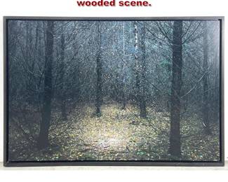 Lot 412 Large Photographic Print on Acrylic. wooded scene. 