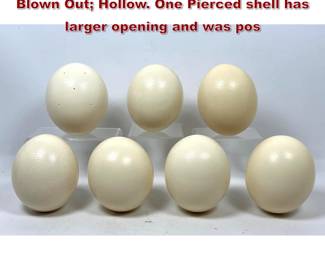 Lot 728 Collection 7 Ostrich Egg Shells. Blown Out Hollow. One Pierced shell has larger opening and was pos