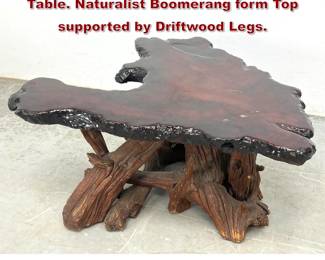 Lot 603 Live Edge Wood Slab Artisan Coffee Table. Naturalist Boomerang form Top supported by Driftwood Legs.