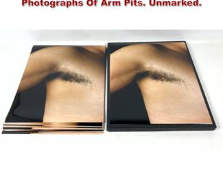 Lot 1342 29 Ashkan Sahihi Large Format Photographs Of Arm Pits. Unmarked.