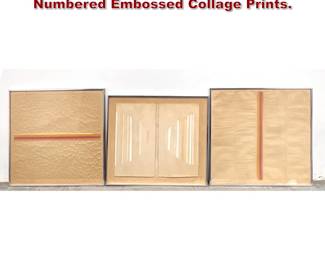 Lot 1241 3pcs Judith Ingrim signed and Numbered Embossed Collage Prints.
