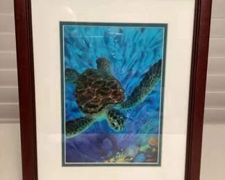 MHH087 Framed Picture Of A Honu Turtle By Dennis Matthewson