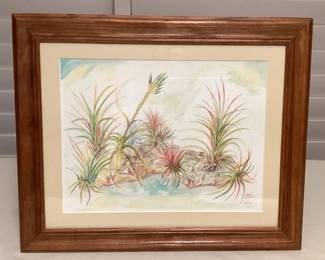 MHH089 Framed Original Watercolor Painting Of Tillandsia Air Plants On A Piece of Driftwood
