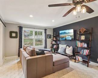 Lovesac Sectional in Gray - Bookladders - Samsung TV all ready off the wall.