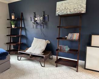 Wall Book Ladders 