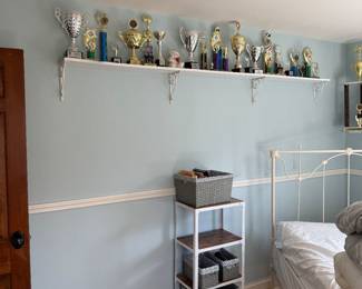 Trophys to use in your projects or for summer contests 