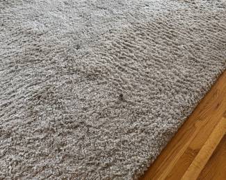 Area rug  - one of many 