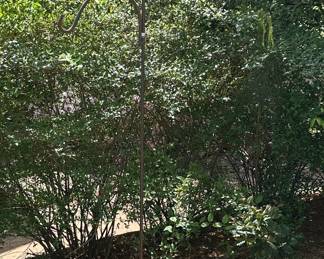 Roadmaster "Sport" Mountain Bike