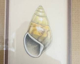 Mathilde Duffy Snail Shell Drawing