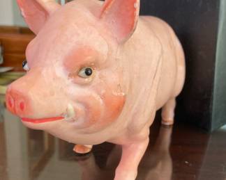 Old pig with glass eyes 