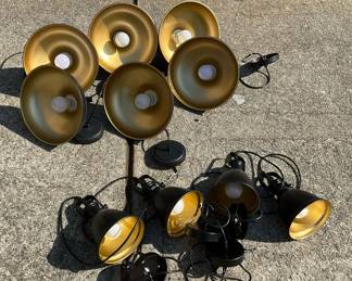 Black and Gold Industrial Pendant and Spotlight Light Fixture Set