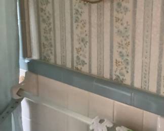 Items in one of the bathroom.