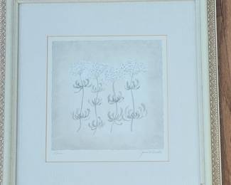 Framed Botanical Print Queen Annes Lace