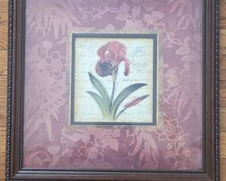 Framed Botanical Print by Elizabeth Brownd for Sonoma