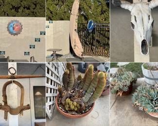 Yard art, potted plants and taxidermy 