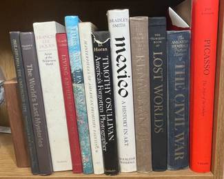 Collection of Art and History Books, including "Mexico: A History in Art"