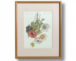 Anemone Simplex Print by PierreJoseph Redout in Wooden Frame