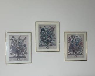 Set of Three Robert Furber Twelve Months of Flowers Botanical Prints