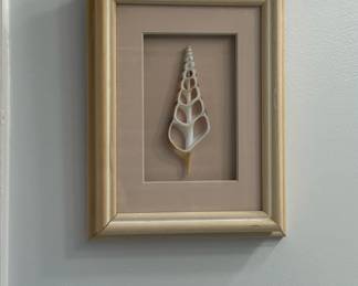 Framed Seashell Art