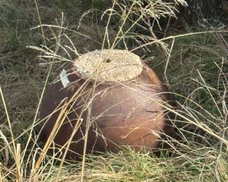 att.MK SVIv2xF3JwWuOWF38EY8QVFlxeg4Frq9vR8lWko