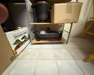 . . . electric frying pan