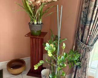 . . . live and faux plants