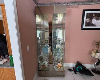 . . . wonderful glass curio cabinet