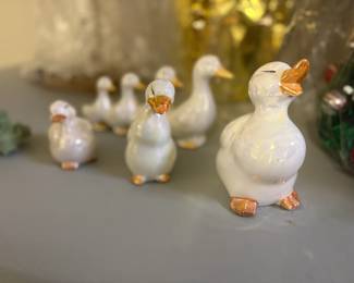 . . . duck collection