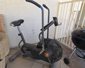 Exercise Bike Schwinn