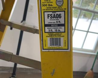 Werner Fiberglass Step Ladder