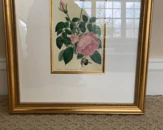 Kellogg Collection Framed Botanical Rose Print with Gold Tone Beaded Frame
