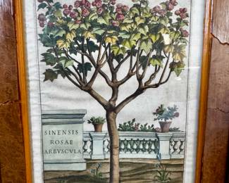 Original 17th Century Engravings...handpainted - labelled 1633!