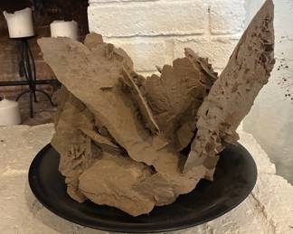 Large desert rose selenite