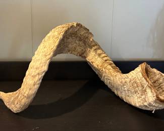 Sheep horn