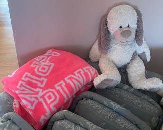 Victoria's Secret PINK Blanket