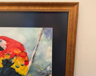 H16 - $50. "Proud Parrot" original watercolor. Measures 23.5" x 30".