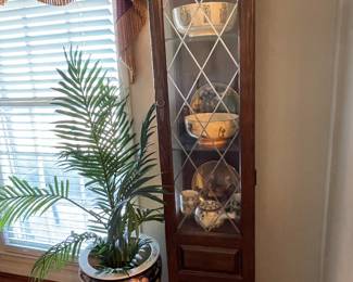 Lighted curio
