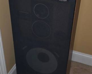 Pioneer CSGWA II Speakers